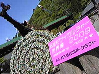 アクティ森にモザイカルチャー出現