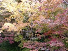 森町紅葉情報