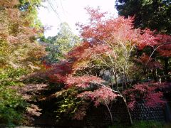 森町紅葉情報