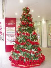クリスマスツリー