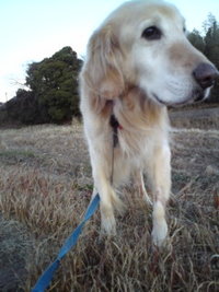 仲良し時間☆ 2009/02/04 08:58:24