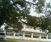 小学校☆