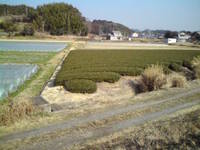 将来の夢。。☆ 2009/02/05 16:34:29