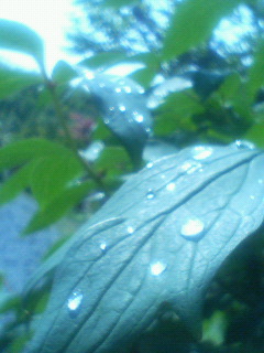 感じてみて~☆