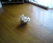 ユリの花☆