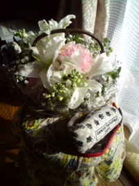天然アロマ☆ 2009/02/06 01:13:24