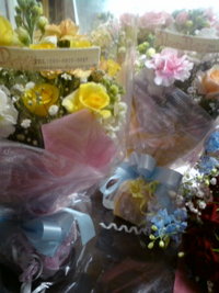 花☆ 2009/02/22 21:49:43