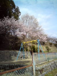 近所の春☆ 2009/03/05 17:09:28