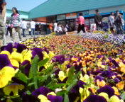 途中休憩☆ 2009/04/12 12:28:42