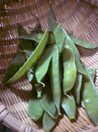 春の食べ物☆ 2009/04/23 21:40:58