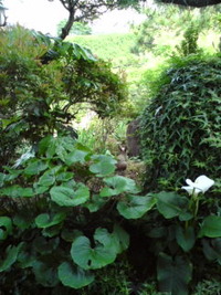 落ち着く、景色☆ 2009/05/09 18:57:21