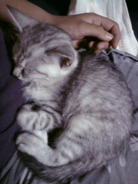 新しい家族☆ 2009/05/16 20:58:26
