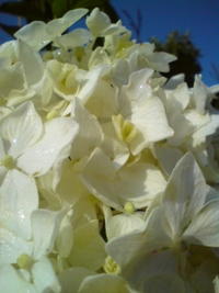お天気☆ 2009/06/21 07:15:29