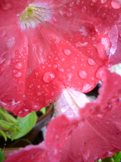雨の日のヒカリ物☆