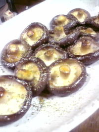 ｼｲﾀｹｽﾃｰｷ〜☆ 2009/07/09 12:57:47