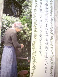 今日のターシャ☆ 2009/07/09 19:44:14