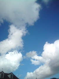 暑い日に。。☆ 2009/07/26 23:08:28