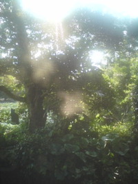 朝☆ 2009/08/18 19:15:07