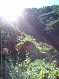 蓼科です☆ 2009/08/24 09:35:22