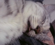 小梅～☆ 2009/10/08 23:12:52
