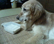 １日の始まり☆ 2008/09/07 08:17:50