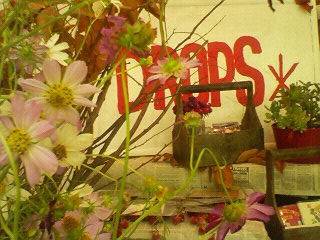 Drops*の世界