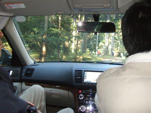 伐採2010