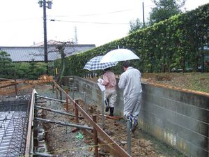 雨