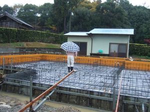 雨