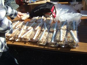 12月の防災訓練
