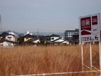 被災地の調査を終えて