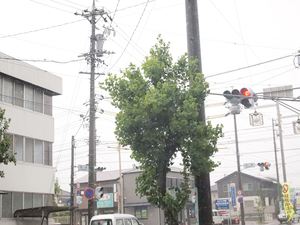 台風