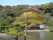 京寺めぐり