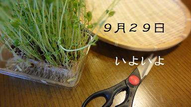 【断髪式】