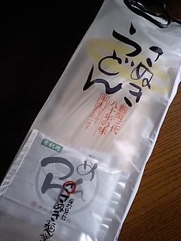 うどんとかき揚げの最強コンビ！