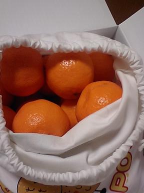 ぽんかんが届く