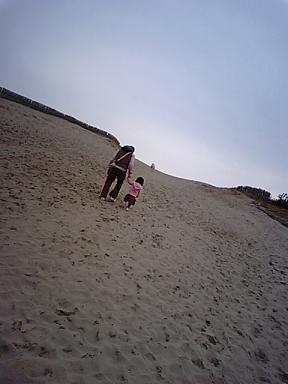 河津さくらと浜岡砂丘