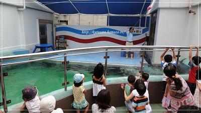 夏の旅行記　～水族館編～　