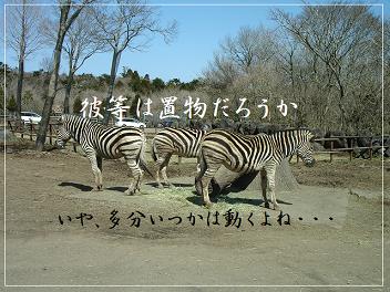 【オモシロ動物観察記】