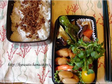 トトロの森弁当。