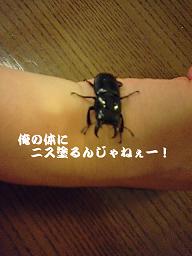 ☆我が家のニューフェイス☆