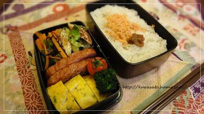 13日、本日のお弁当。