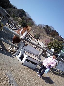 優雅に乗馬
