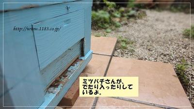 人気商品を買いに♪