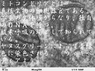 じぃじ好みのオンナになる。