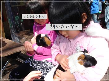 【オモシロ動物観察記】