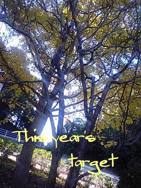 今年の目標