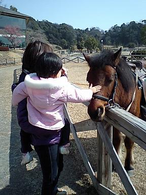 優雅に乗馬