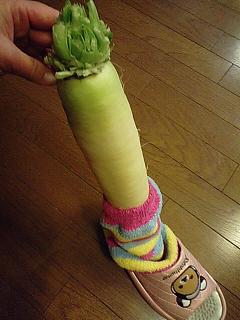 色白な、おみ足。