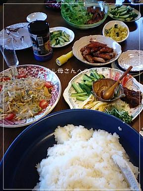 アタシに惚れると怪我するヨっ！